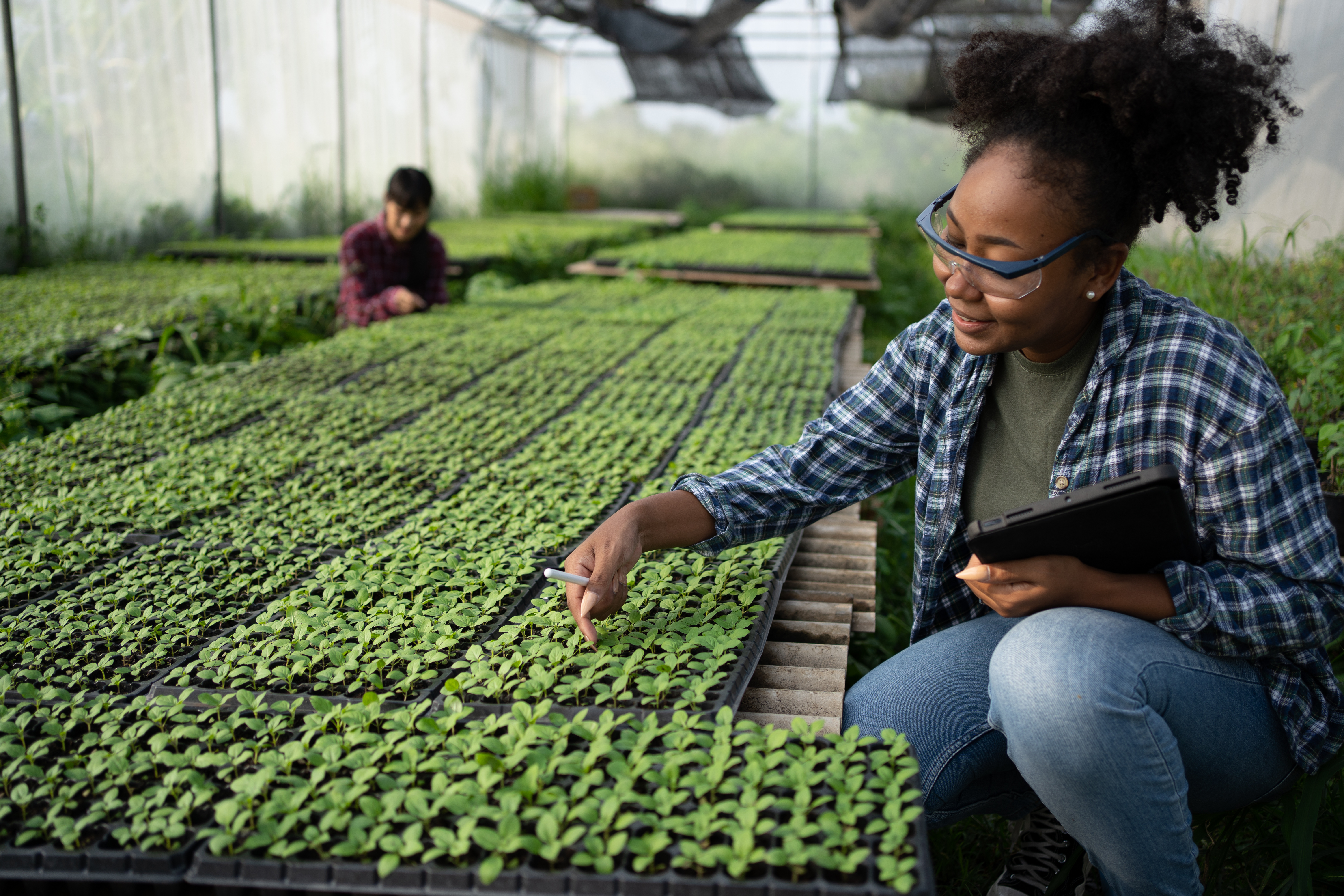 A farmer holds a tablet while looking at vegetable plots inside a greenhouse.