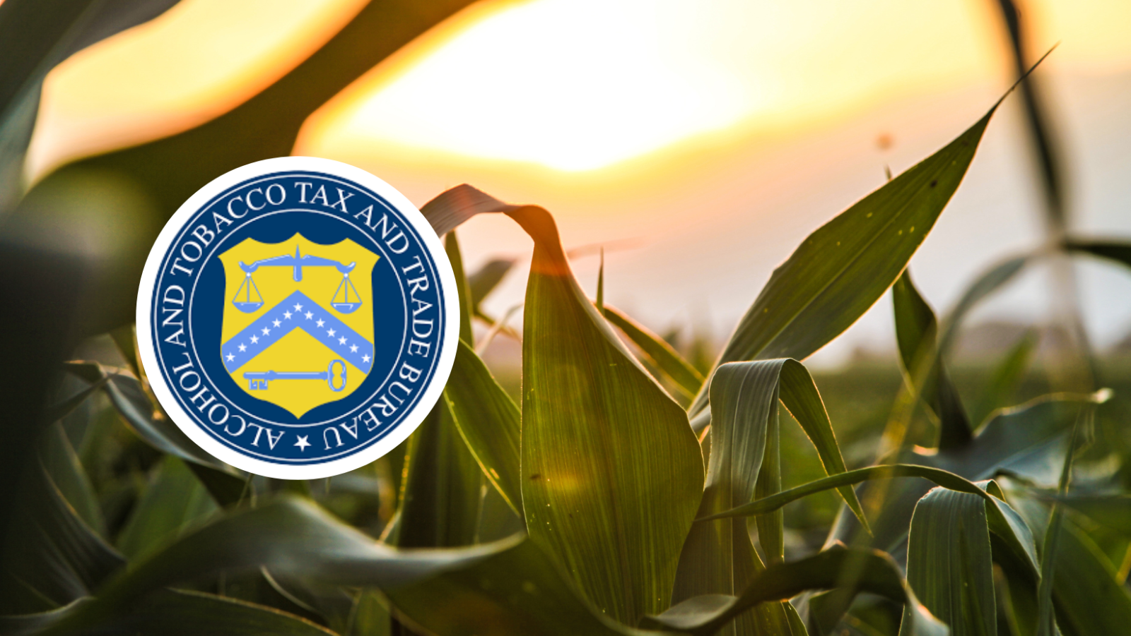 The Alcohol and Tobacco Tax and Trade Bureau logo over a photo of corn field
