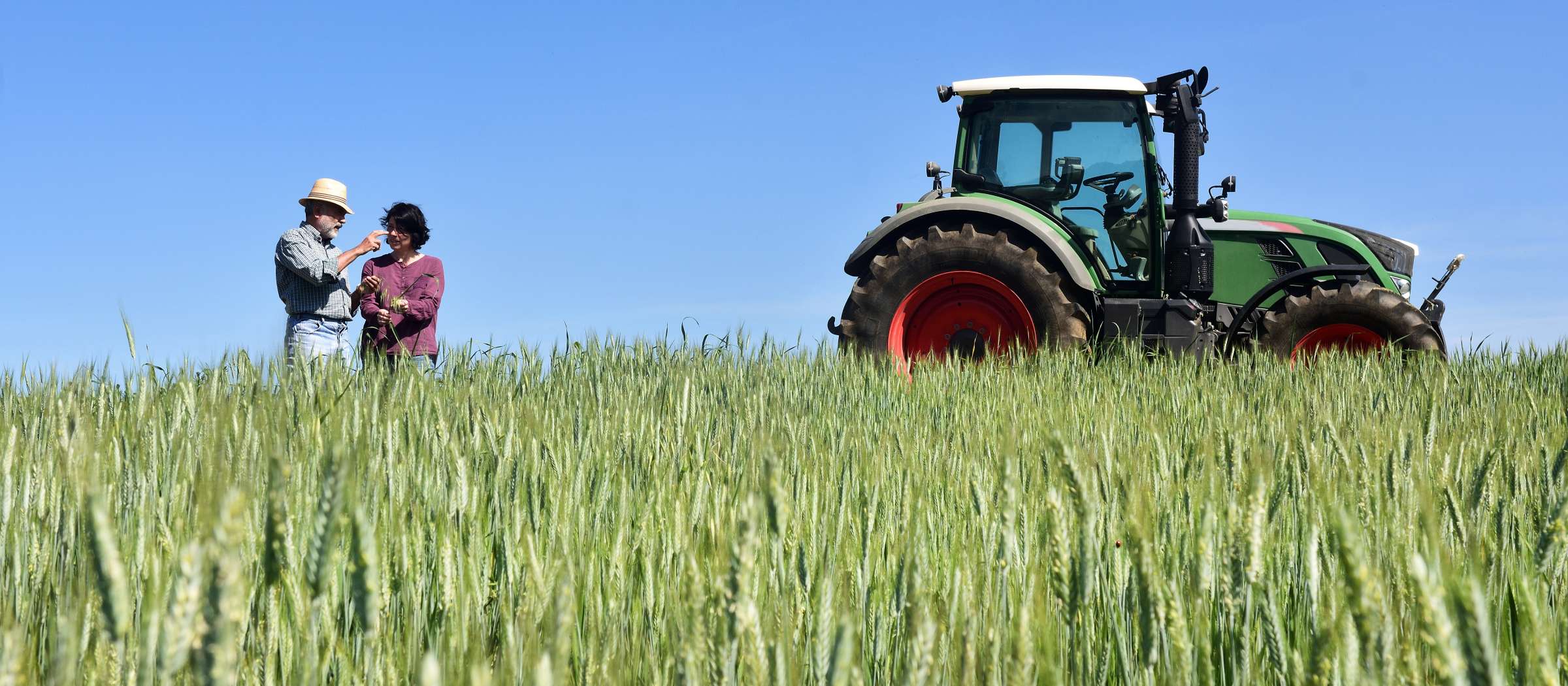 Two farmers stand in a wheat field near a tractor.
