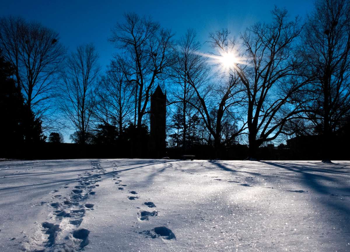Article: Tips for when the snow starts to fly on campus